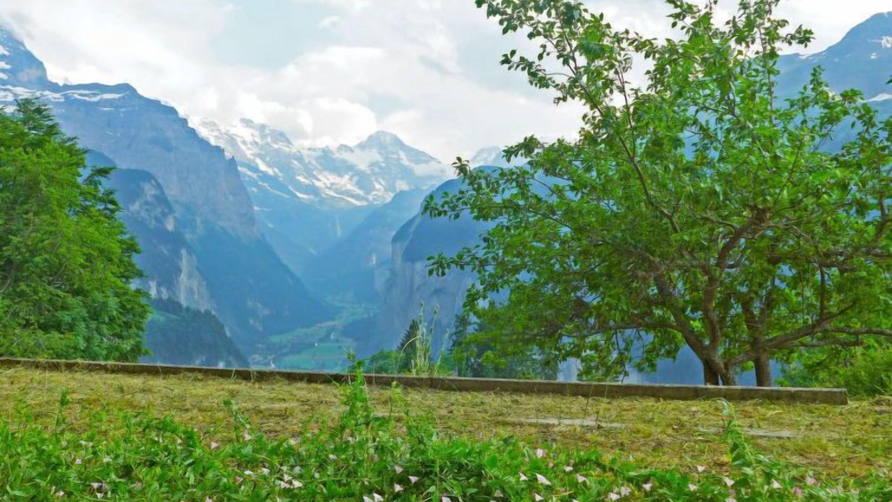 Photo of Others in Wengen