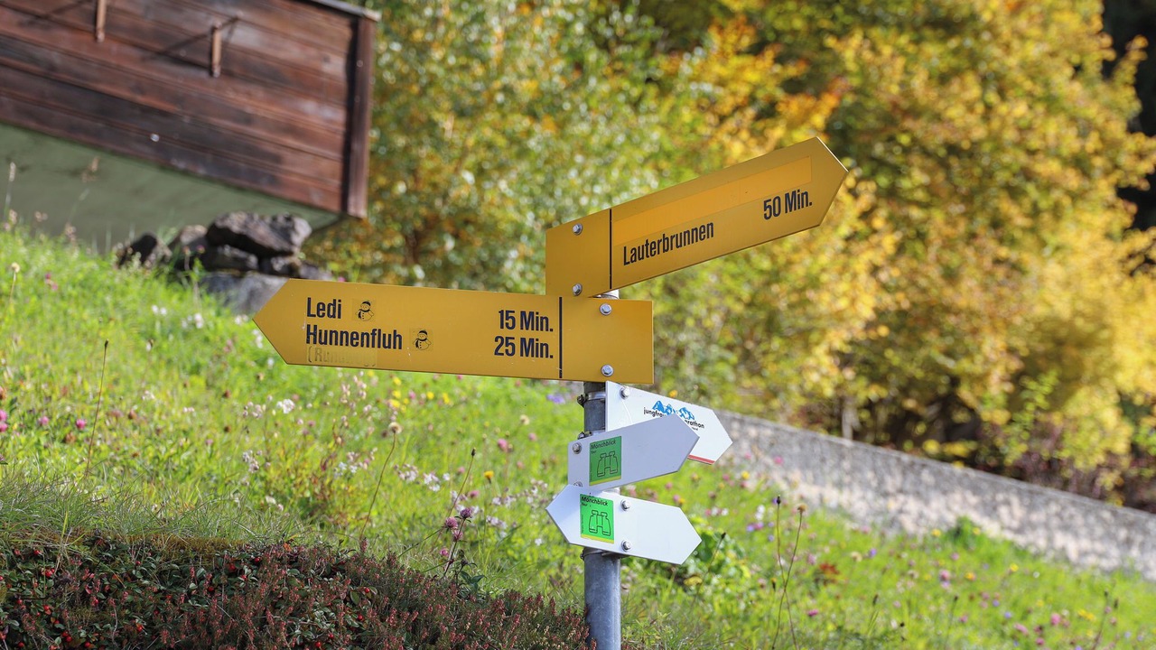 Photo of Others in Wengen