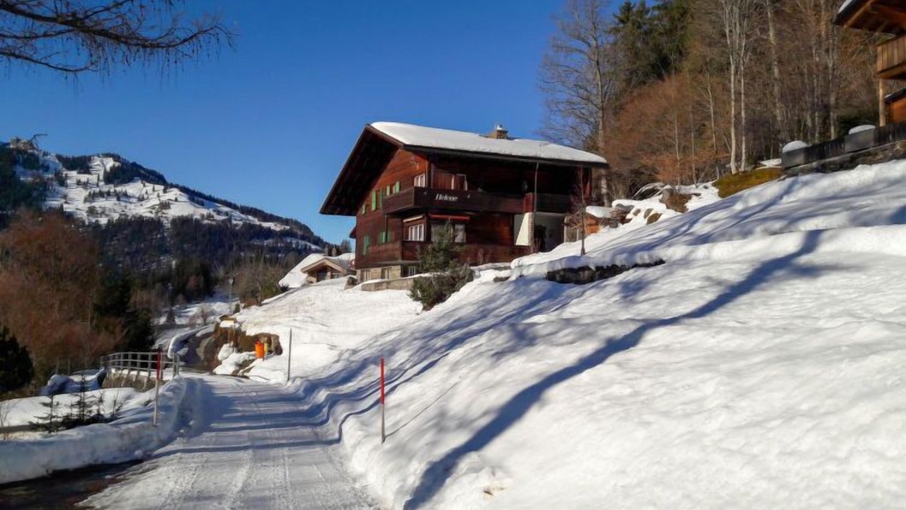 Photo of Others in Wengen