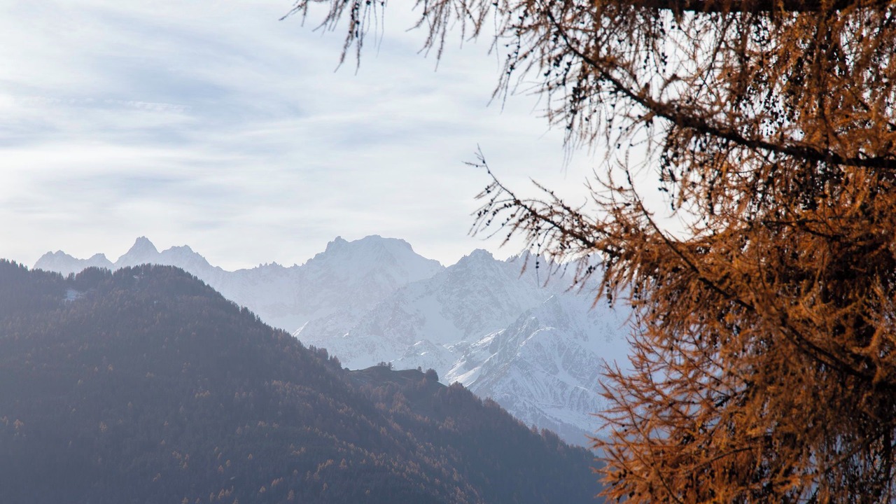 Photo of Others in Verbier