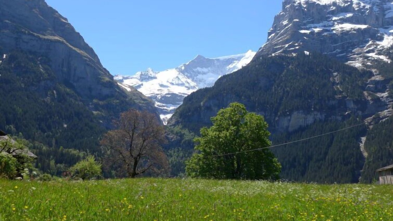 Photo of Others in Grindelwald