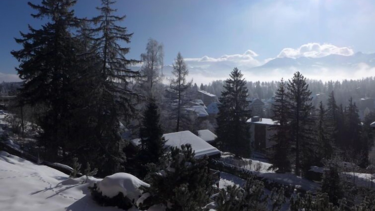 Photo of Others in Lens