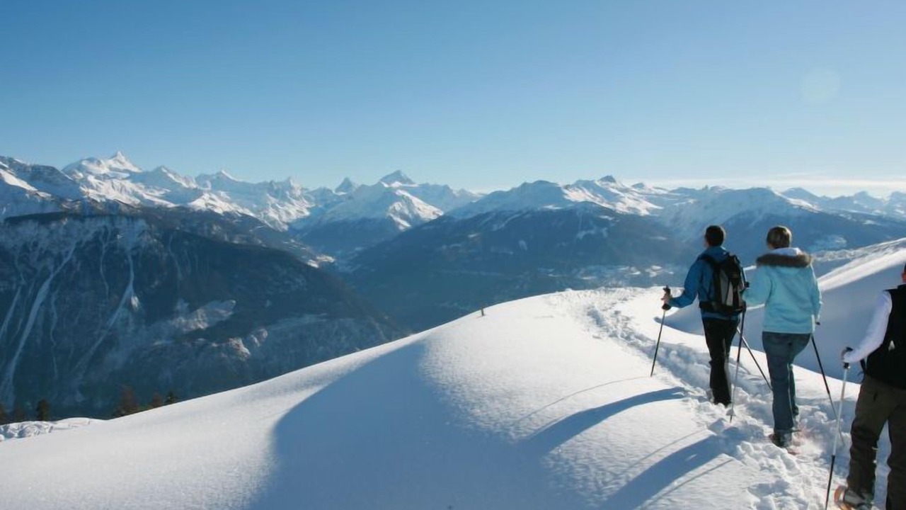 Photo of Others in Lens