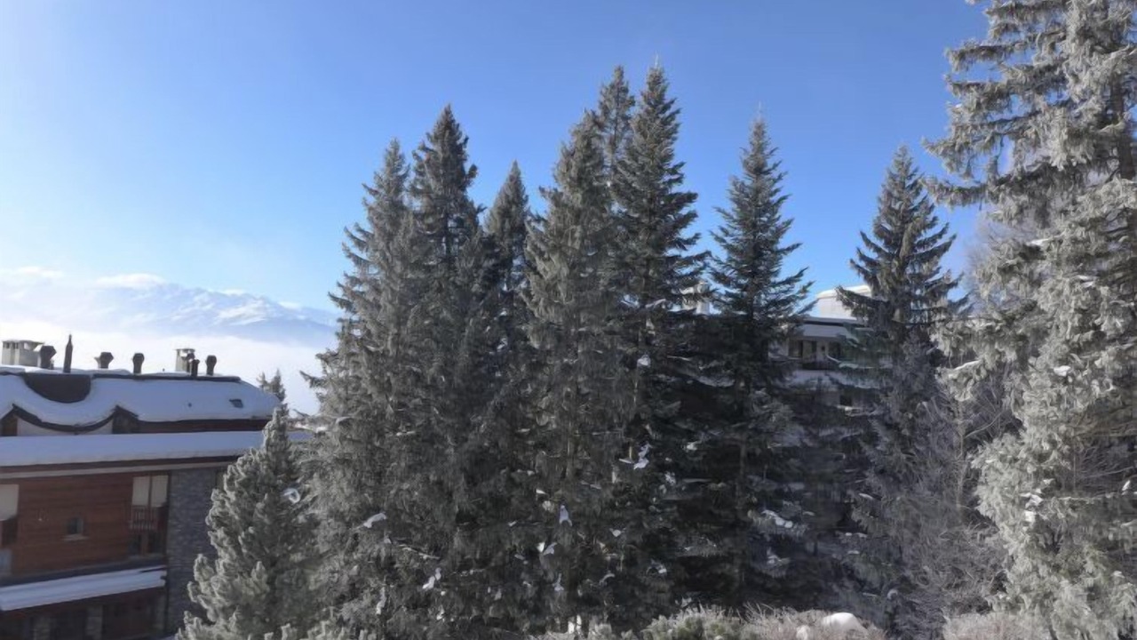 Photo of Others in Lens