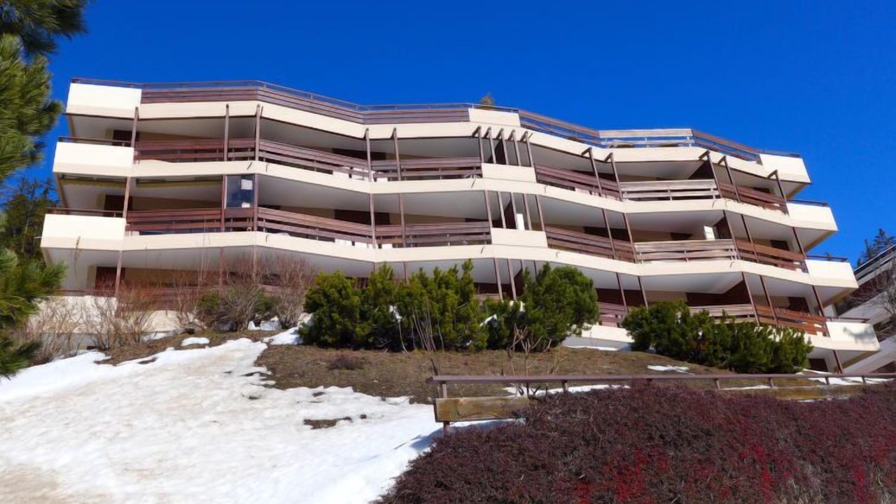 Photo of Others in Lens