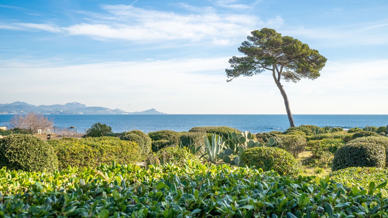 Photo of Others in Saint-Aygulf