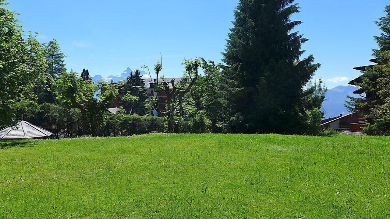 Photo of Others in Villars-sur-Ollon