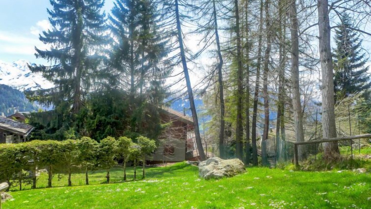Photo of Others in Verbier