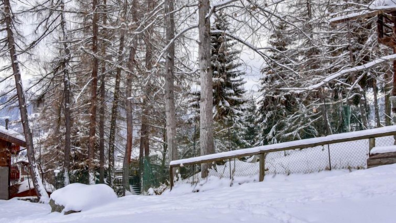 Photo of Others in Verbier