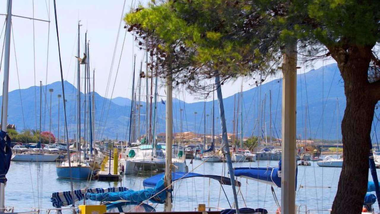Photo of Others in Saint-Cyprien Plage