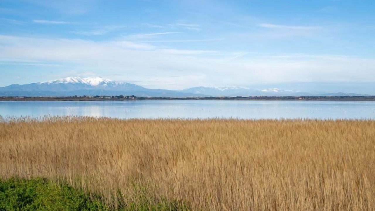 Photo of Others in La Cote Radieuse