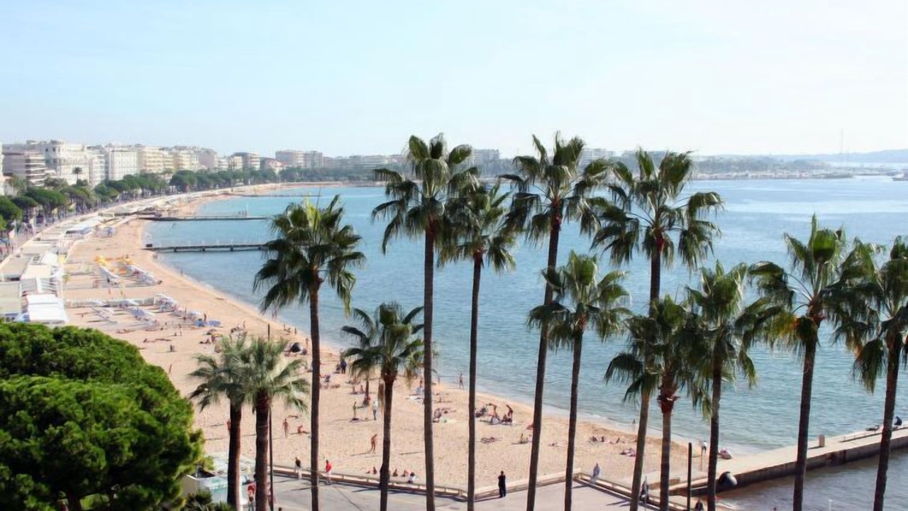 Photo of Others in Cannes