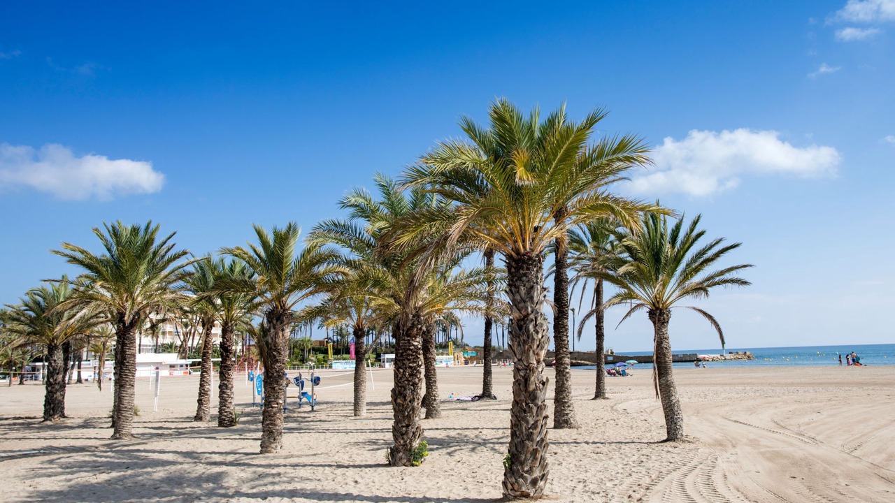 Photo of Outdoor in Platja de l'Arenal
