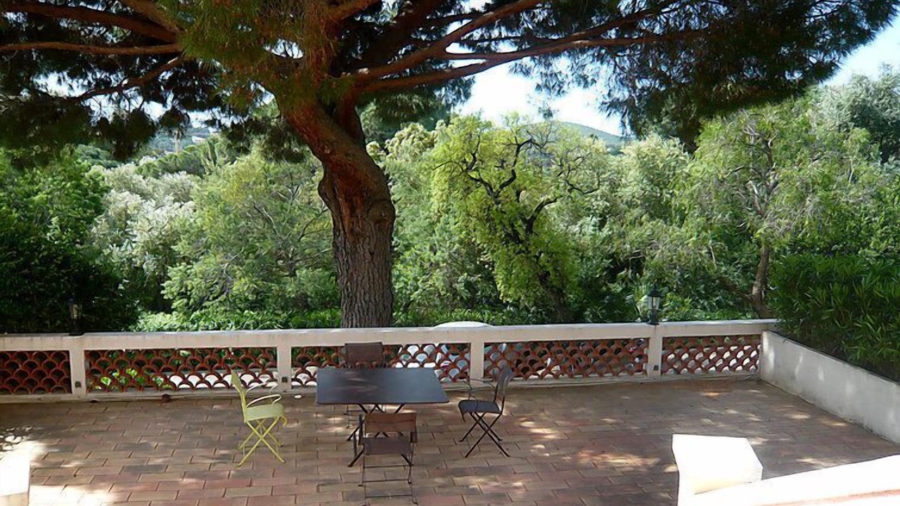 Photo of Others in Cavalaire-sur-Mer