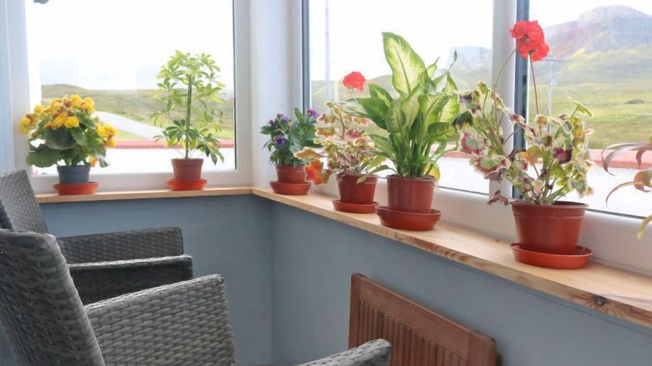 Photo of Others in Bornesketaig