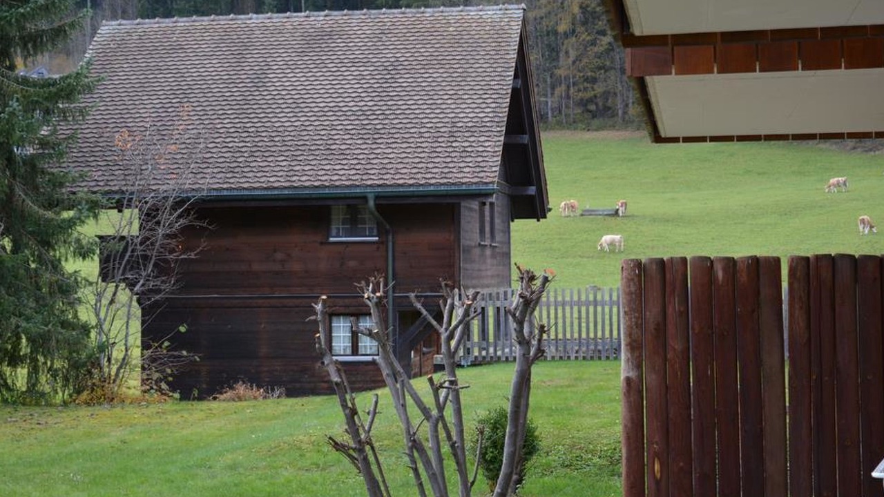 Photo of Others in Zweisimmen