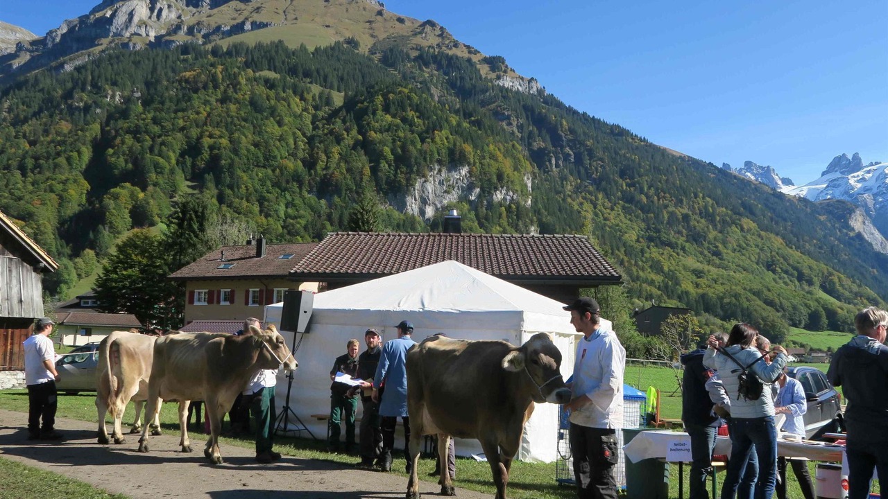 Photo of Others in Engelberg