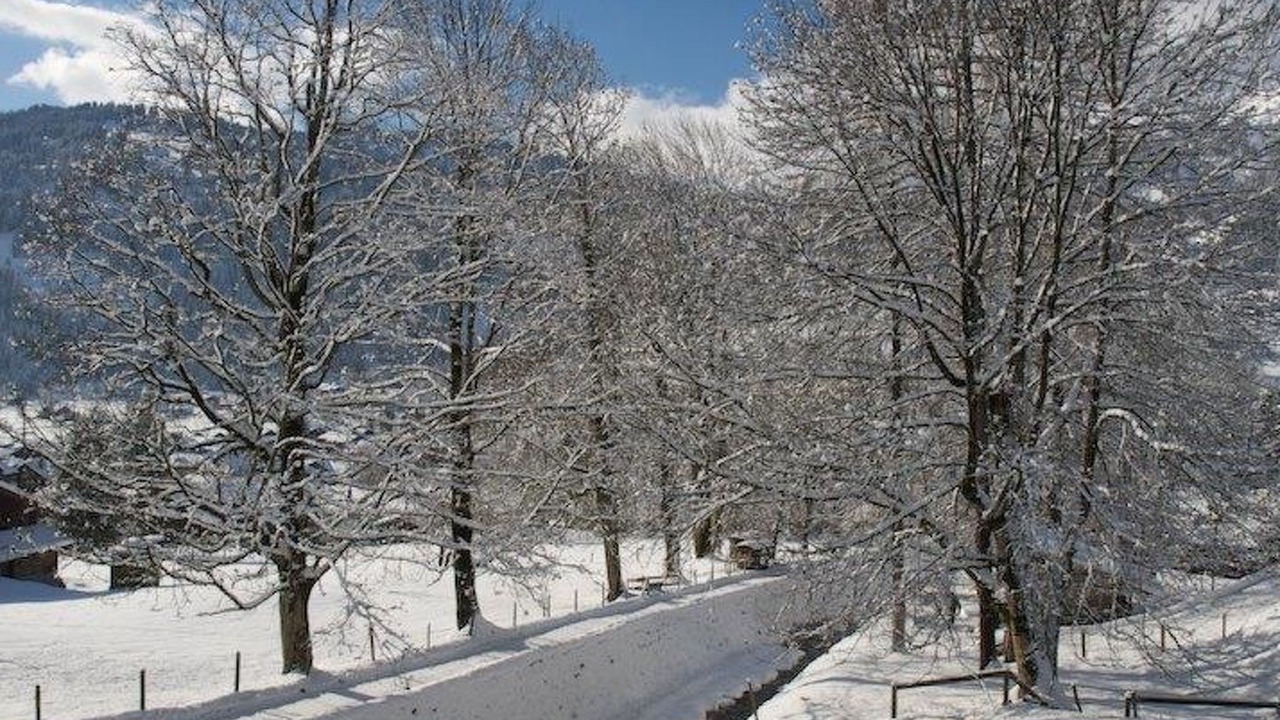 Photo of Others in Lenk