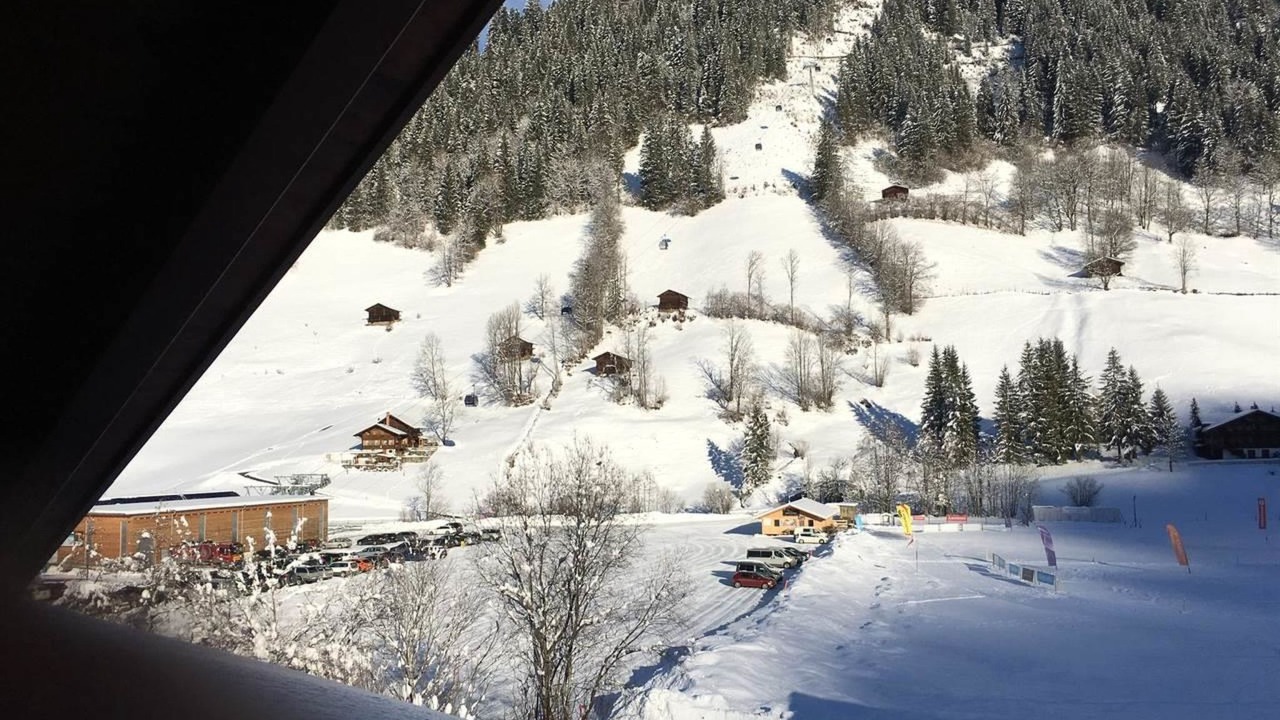 Photo of Others in Lenk