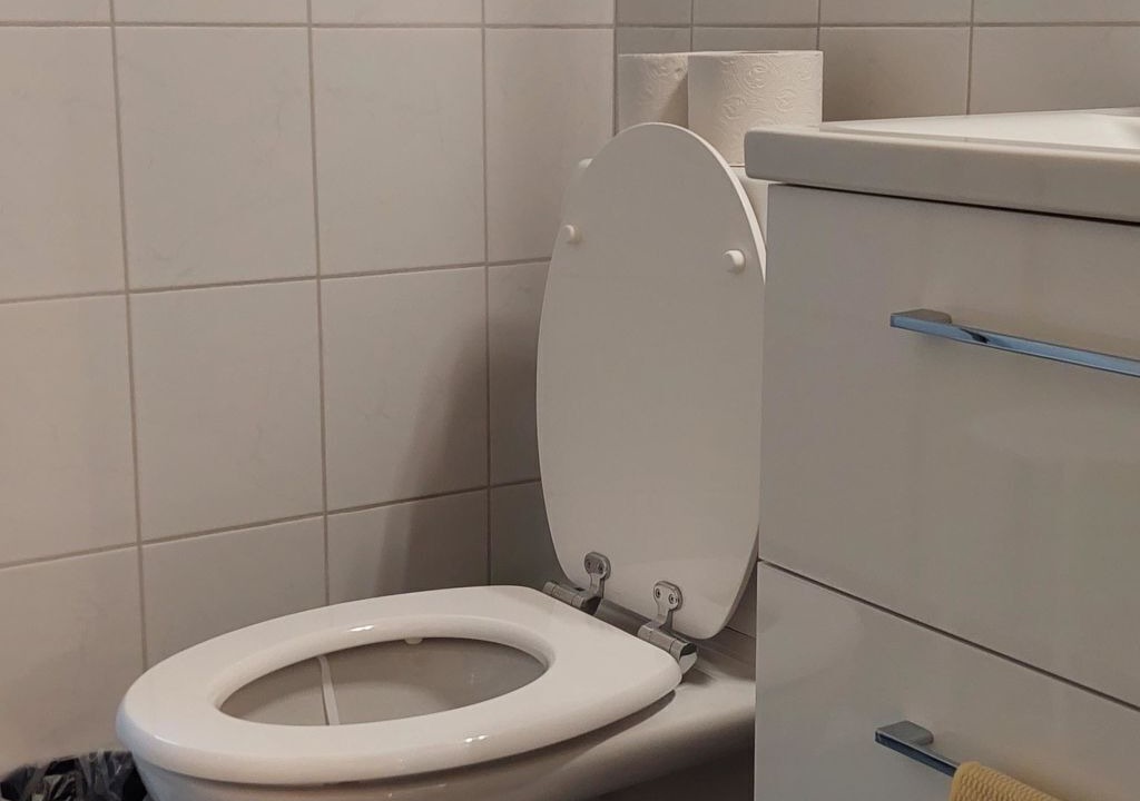 Photo of Bathroom in Zweisimmen