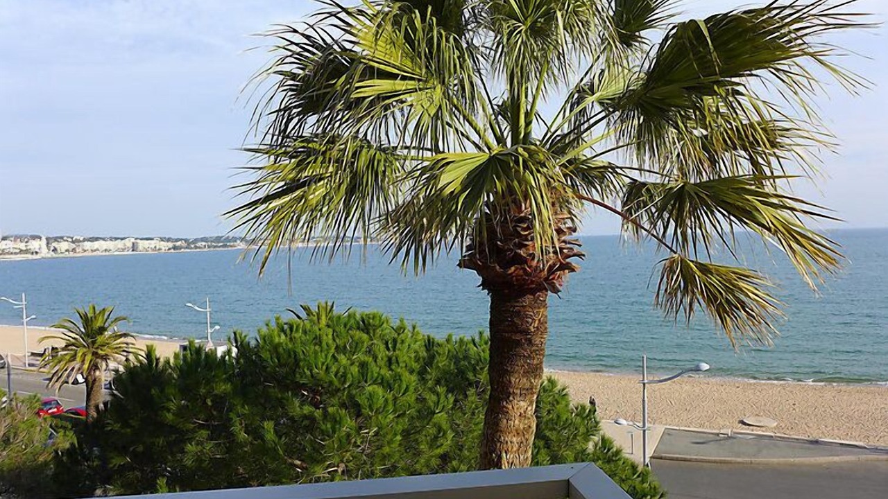 Photo of Others in Frejus Port