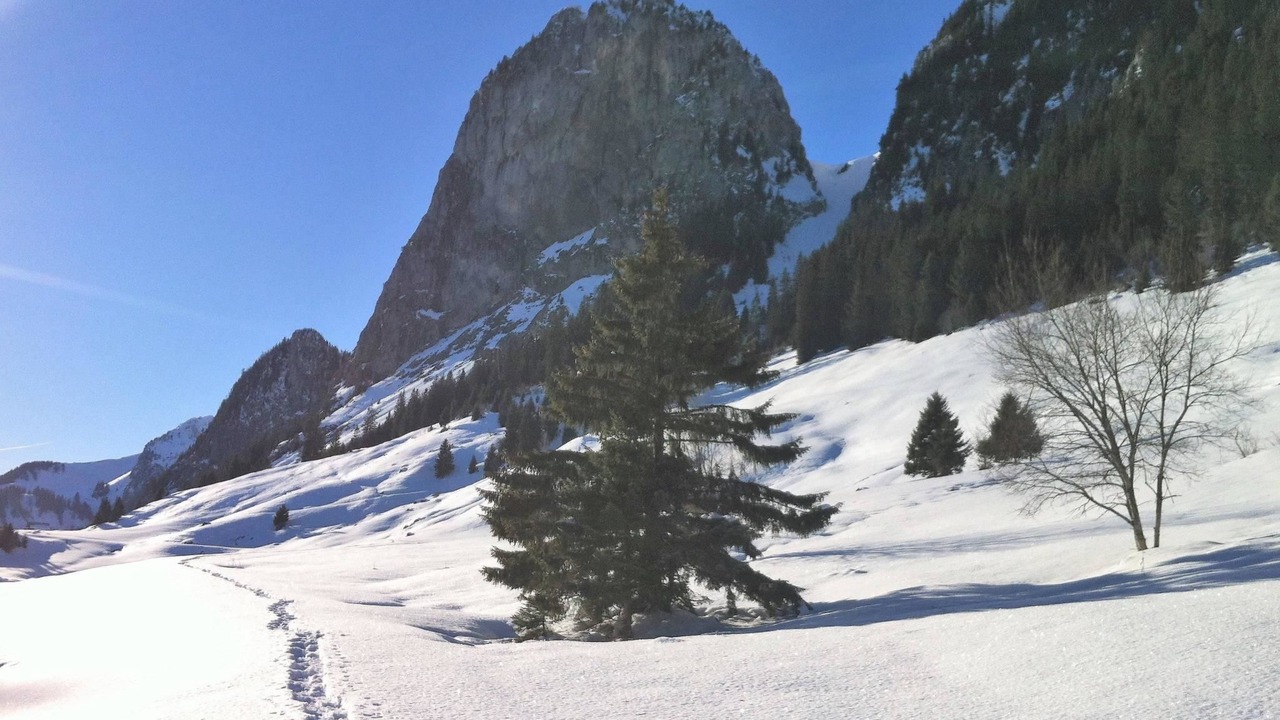 Photo of Outdoor in Boltigen