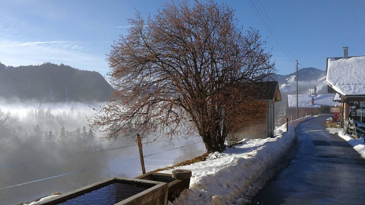 Photo of Others in Boltigen