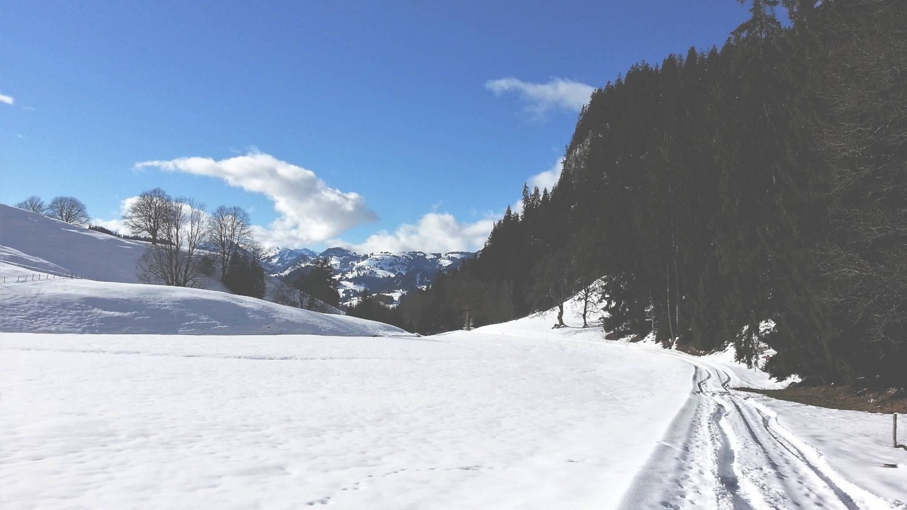 Photo of Outdoor in Boltigen