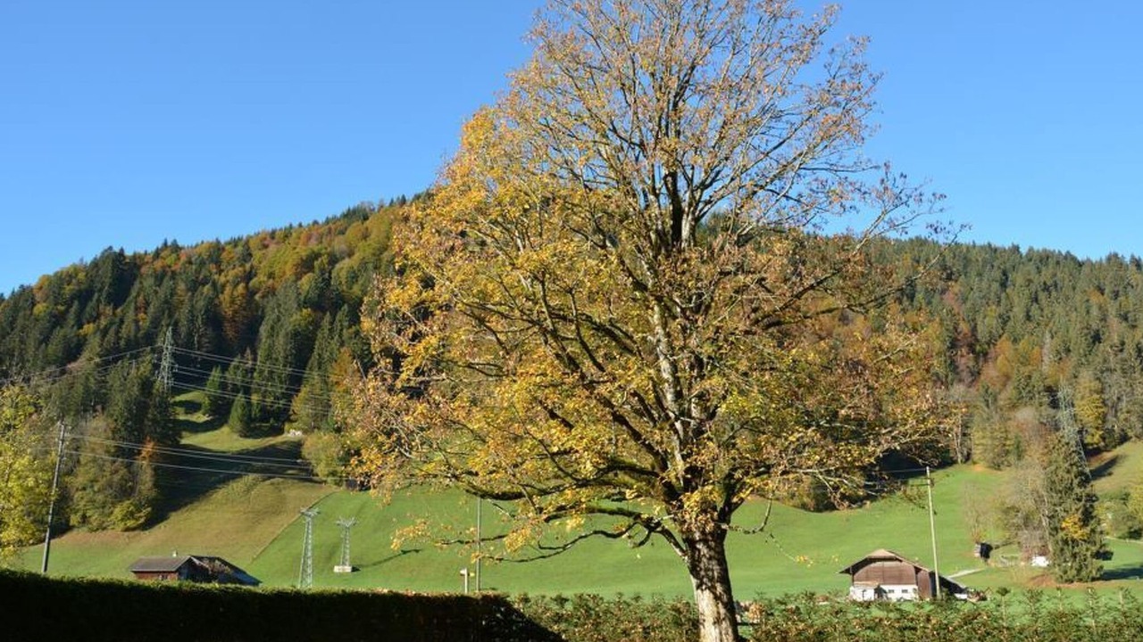 Photo of Outdoor in Gstaad