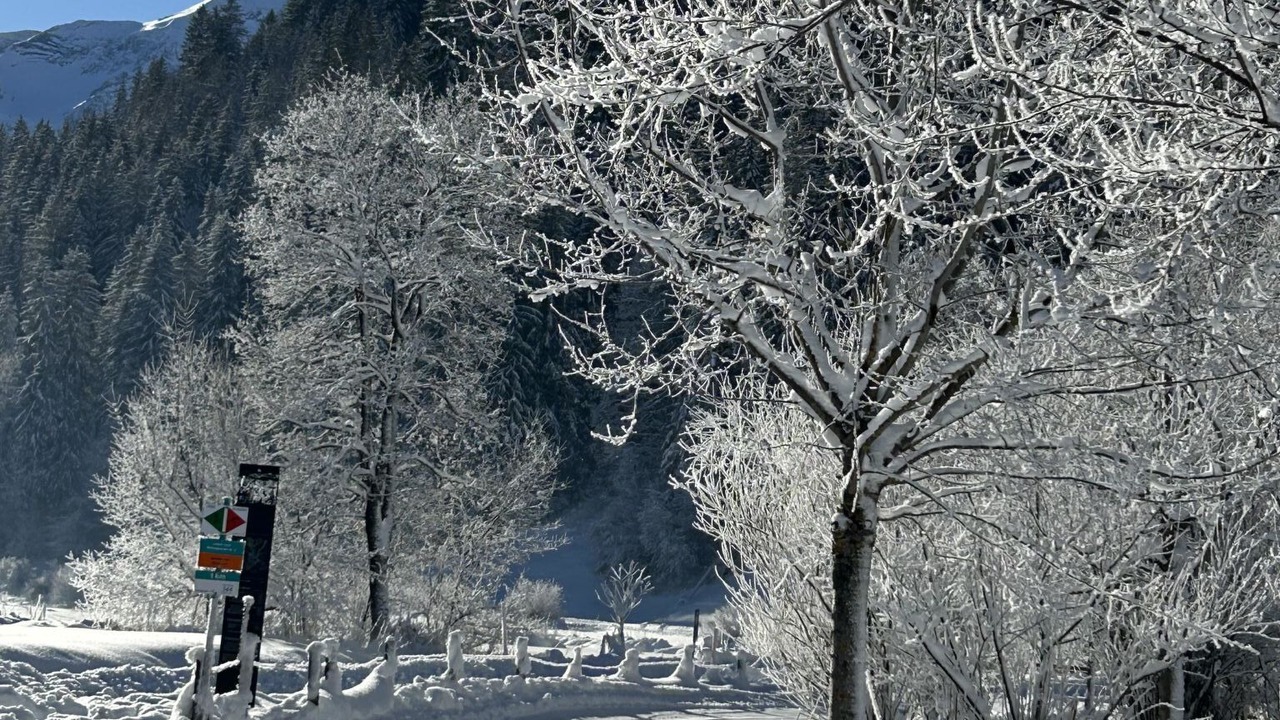 Photo of Outdoor in Lenk