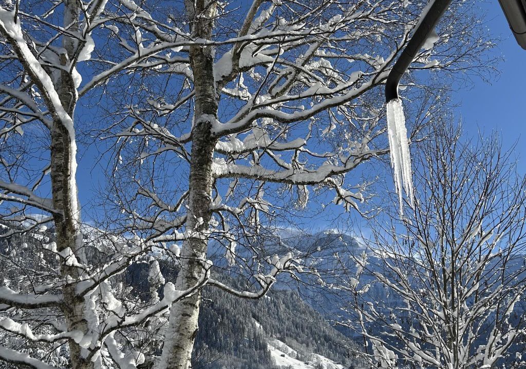 Photo of Outdoor in Lenk