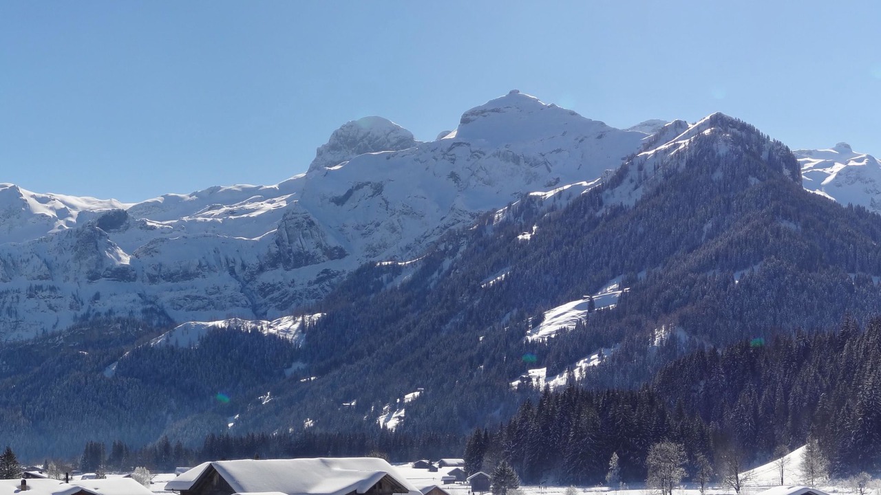 Photo of Others in Lenk