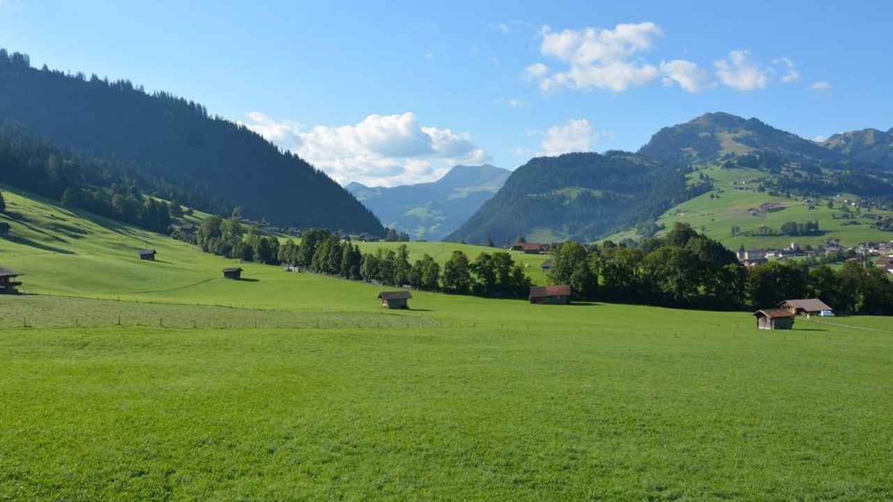Photo of Others in Zweisimmen
