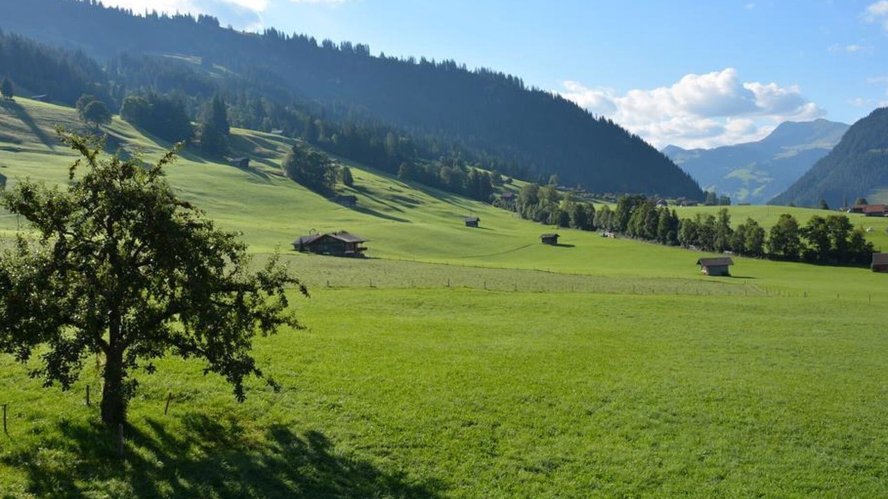 Photo of Outdoor in Zweisimmen