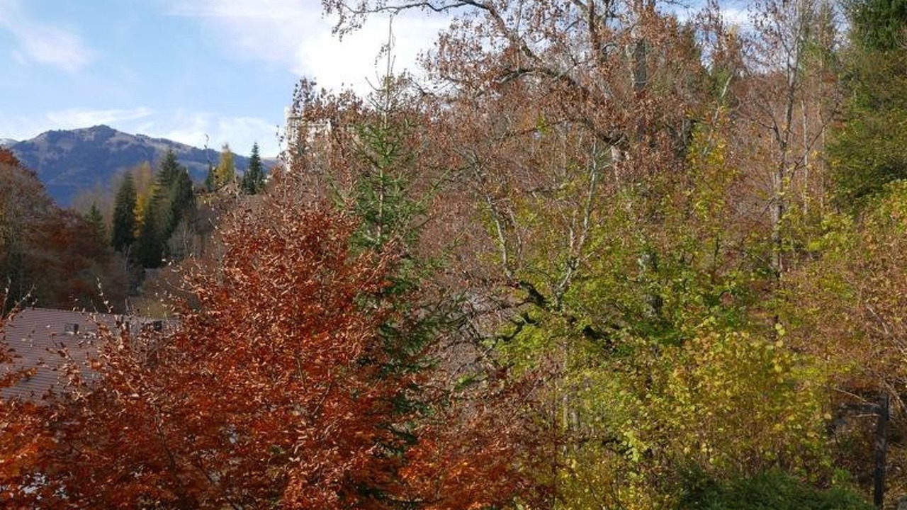 Photo of Outdoor in Gstaad