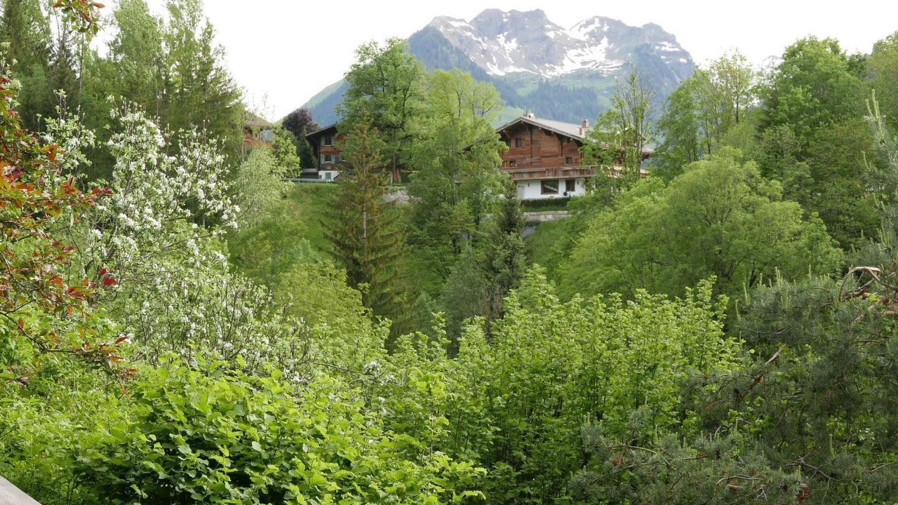 Photo of Outdoor in Gstaad