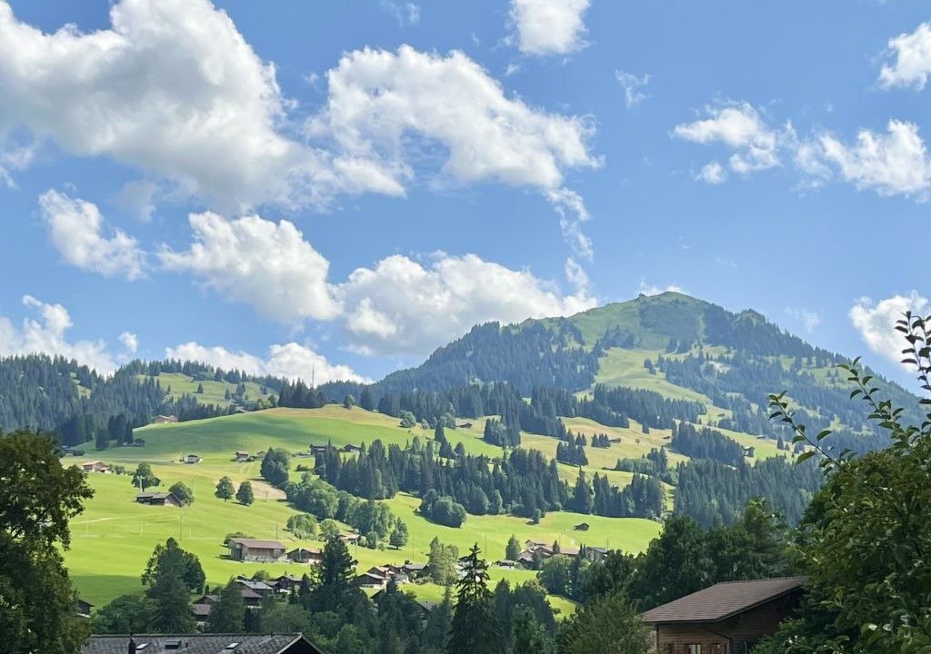 Photo of Others in Zweisimmen