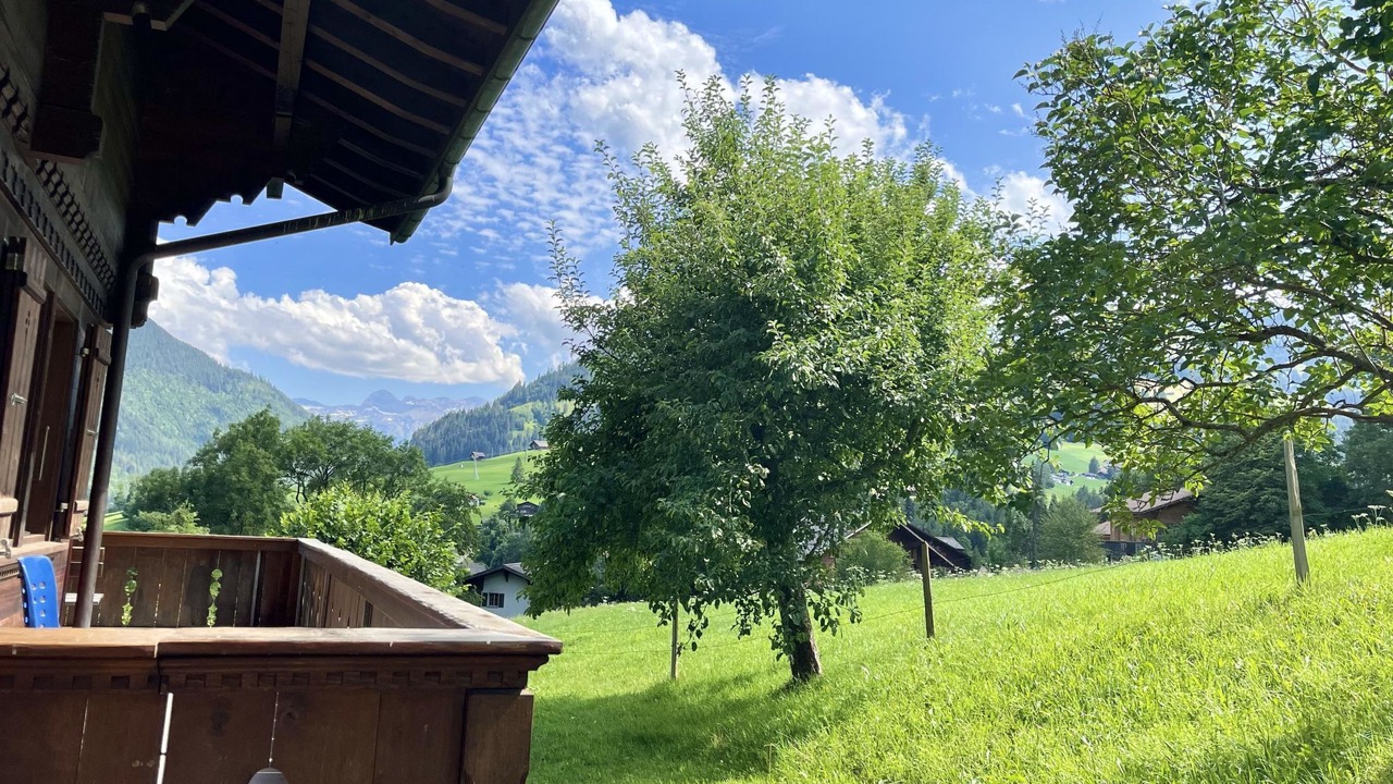 Photo of Others in Zweisimmen