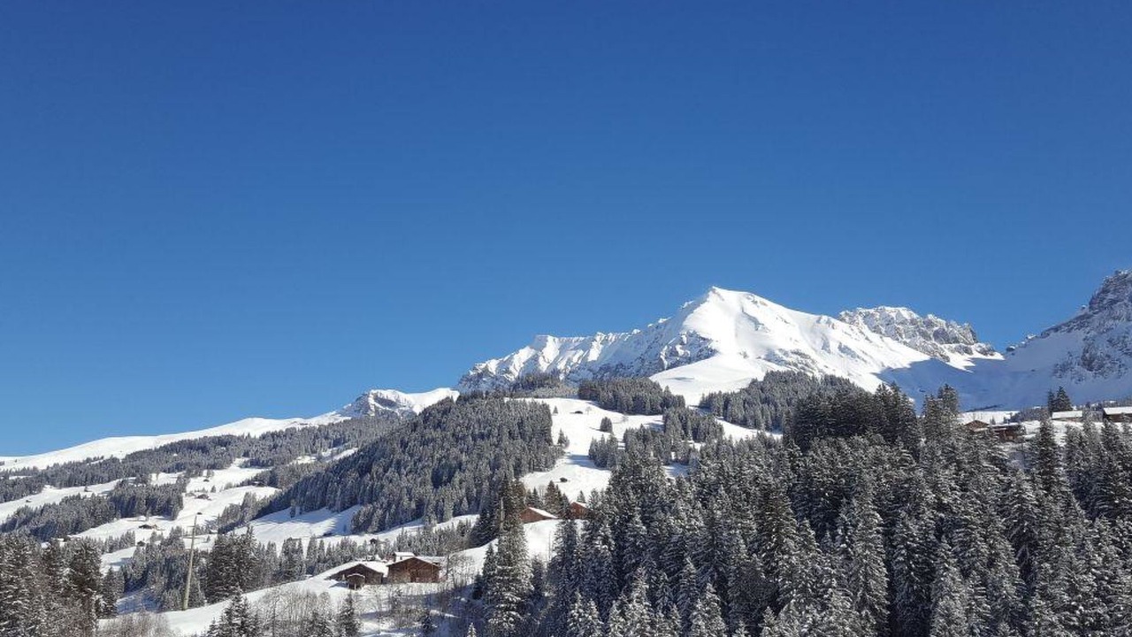 Photo of Others in Adelboden
