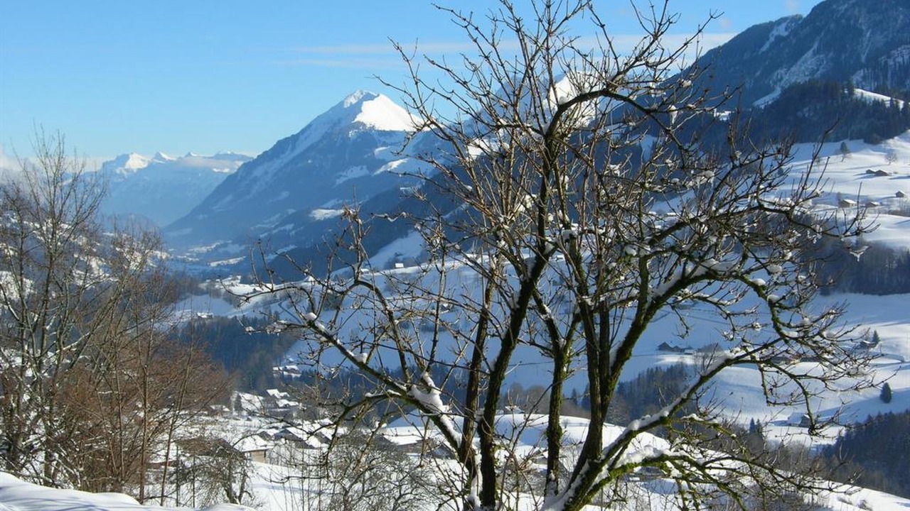 Photo of Others in Oberwil im Simmental