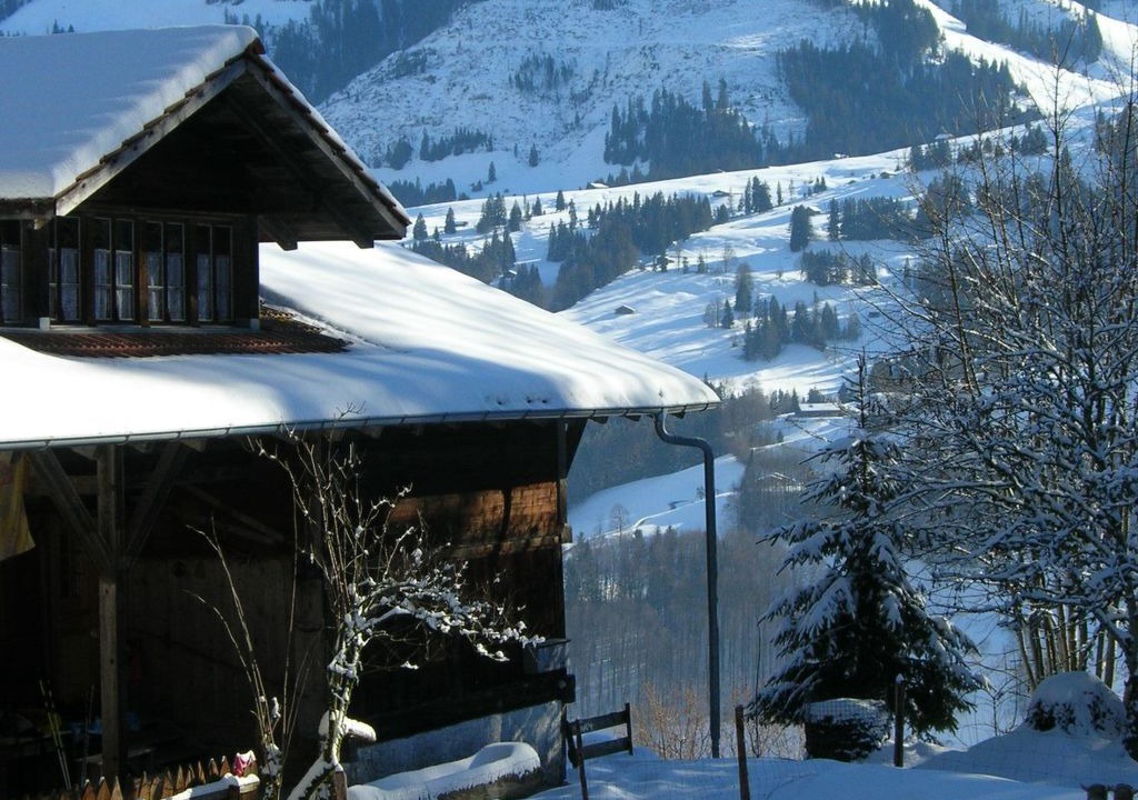 Photo of Others in Oberwil im Simmental