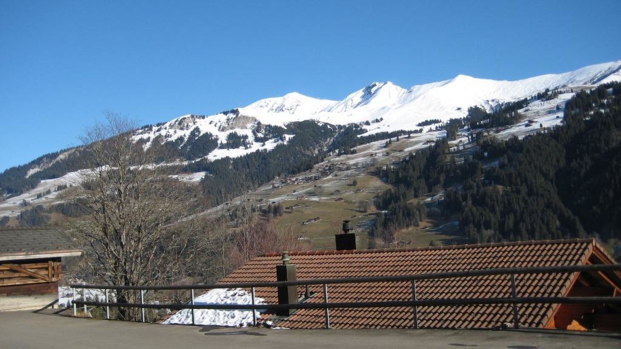 Photo of Others in Lenk