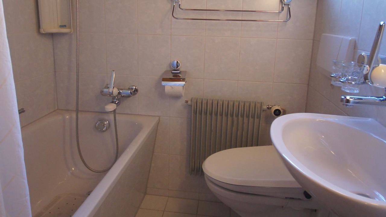 Photo of Bathroom in Lenk
