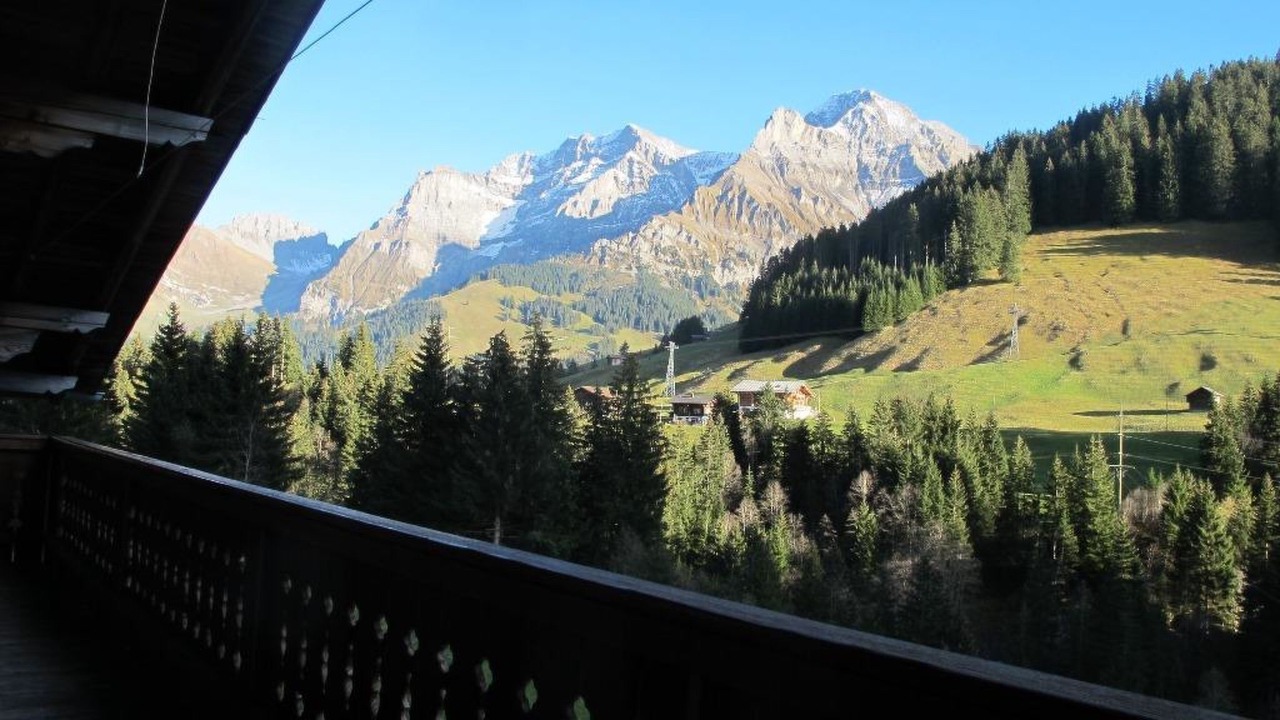 Photo of Others in Adelboden