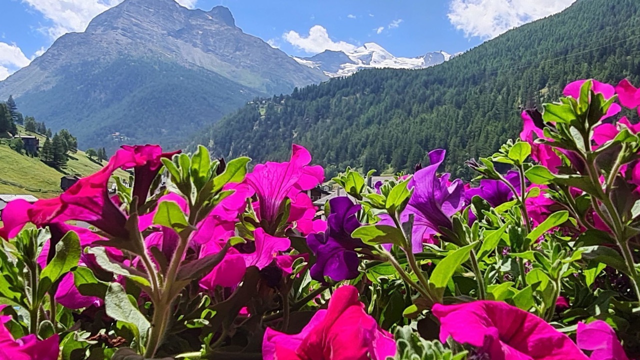 Photo of Outdoor in Saas Grund