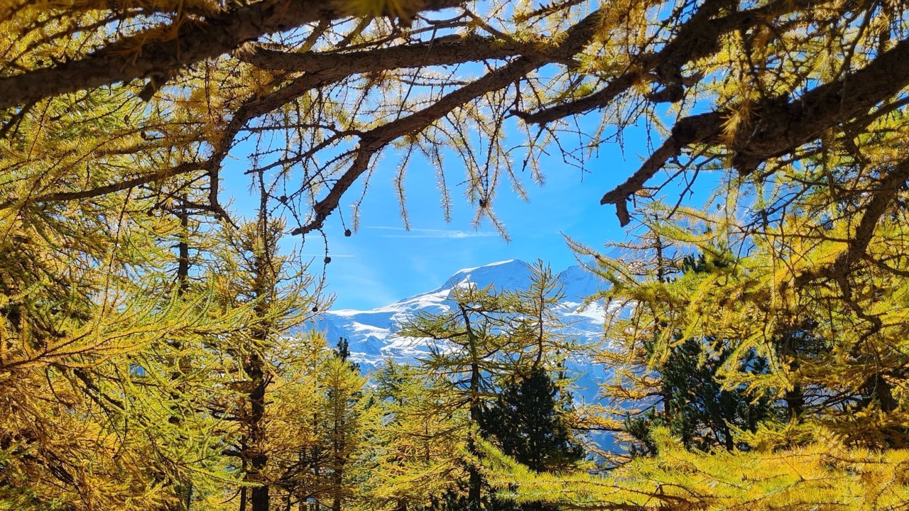 Photo of Outdoor in Saas Grund