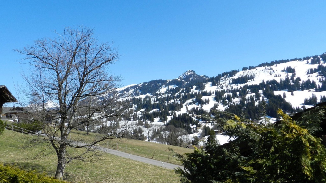 Photo of Outdoor in Schoenried