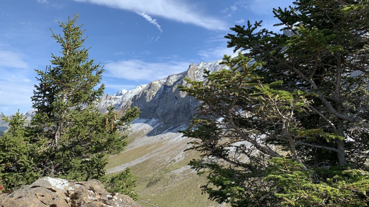 Photo of Outdoor in Lenk