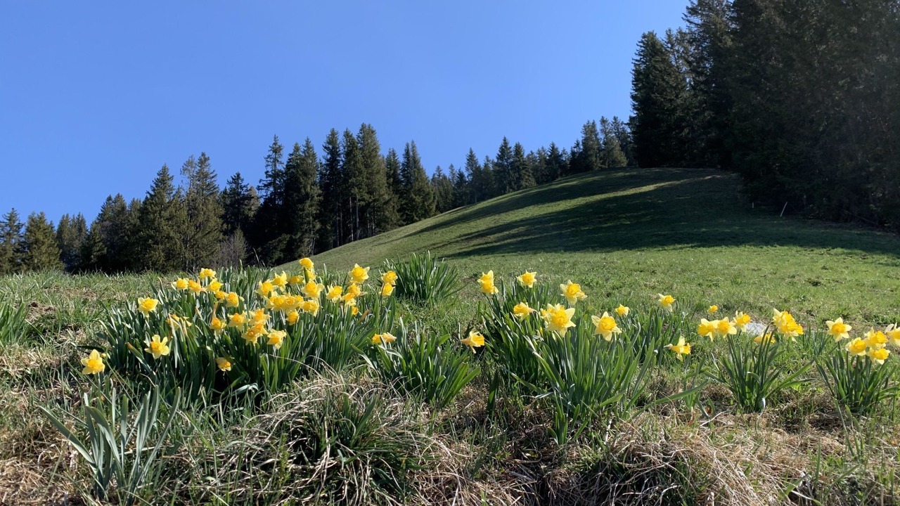 Photo of Outdoor in Lenk