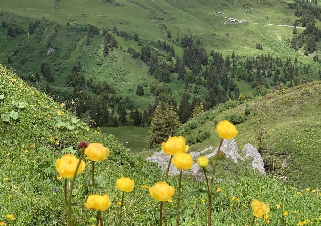Photo of Outdoor in Lenk